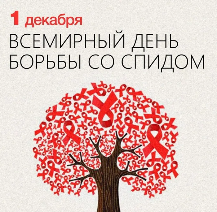 WhatsApp Image 2021-12-02 at 17.49.29