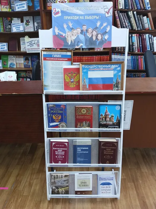 27.02. Выборы.выставка