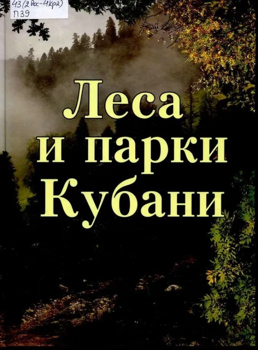 image_image_2923066